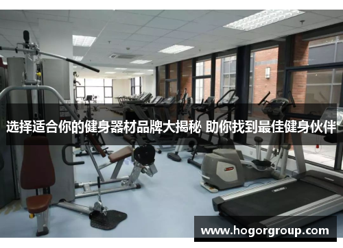 选择适合你的健身器材品牌大揭秘 助你找到最佳健身伙伴